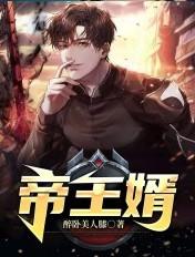 帝师狂婿叶辰在线阅读无弹窗
