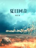 夏日回音全文阅读