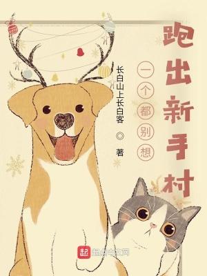 我在新手村买情报