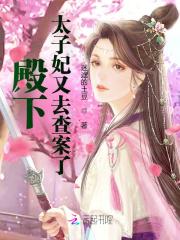 太子妃又去查案了