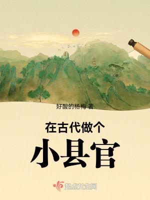 在古代做个小县官类似