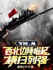 横扫列强逸辰公