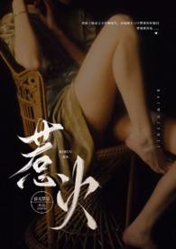 惹火简介