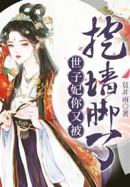 世子妃有人要挖你的墙角