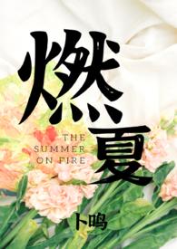 燃夏互娱官网