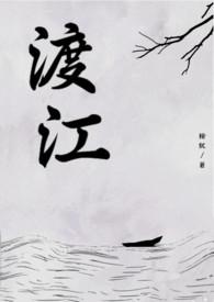 渡江战役地图