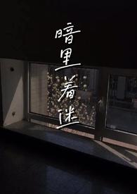 暗里着迷白话文
