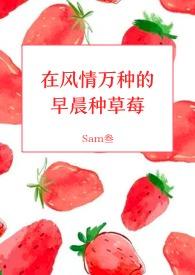 甜草莓全文免费