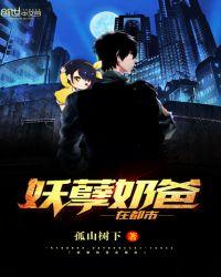 妖孽奶爸在都市全