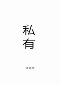 私有制