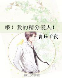 我的精神病爱人