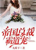 帝国总裁霸道宠讲的什么