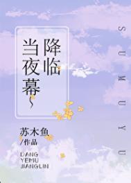 当夜幕降临时用英语怎么说