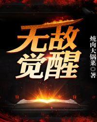 无敌从觉醒开始阅读