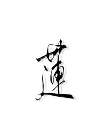 莲宝叶则