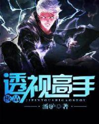 透视之极品高手txt