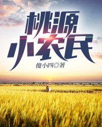 桃源小农民王文才