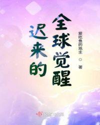 全球觉醒陆TXT