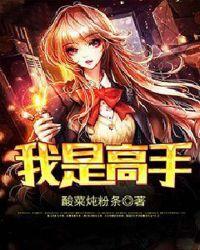 我是高手免广告版