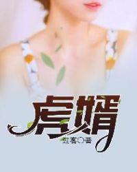 虎婿电视剧
