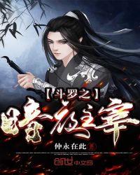 斗罗之暗夜主宰奇书网