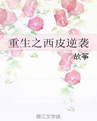 重生之西皮逆袭by