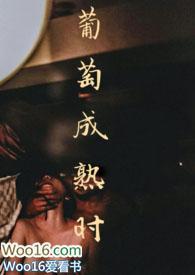 葡萄成熟时谐音歌词
