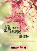 巧盼嫣然落你怀微盘