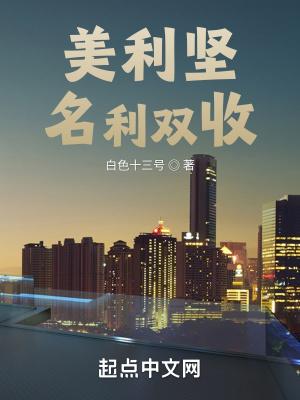 美利坚名利双收扫书