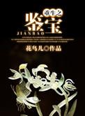 重生之鉴宝金瞳