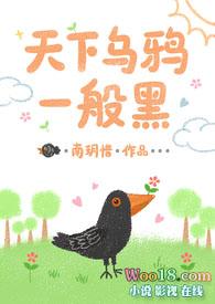 天下乌鸦一般黑打一正确生肖