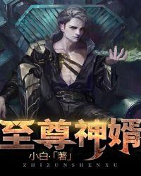 至尊神婿叶昊免费阅读完整版