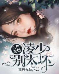天价宠妻凌少
