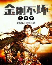 金刚不坏大寨主TXT无防盗