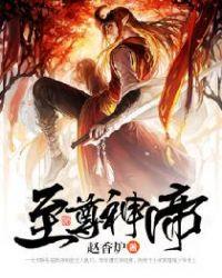 至尊龙帝叶玄