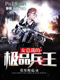 美女总裁的极品兵王