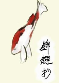 锦鲤抄简谱笛子