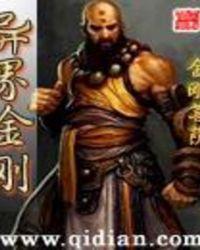 异界之金刚骑士