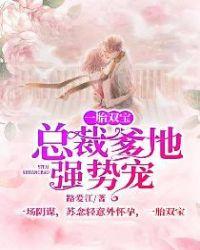 一胎双宝总裁爹地太卖力