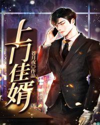 上门佳婿免费阅读全文
