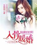 入骨暖婚总裁好好爱全文免费阅读