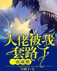 一夜成婚大少的私宠女孩