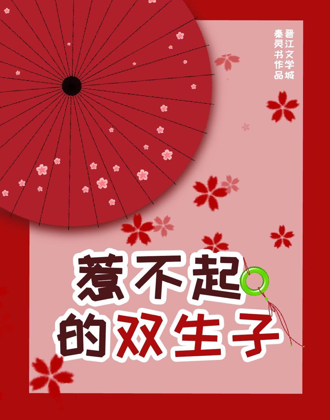 惹不起的双生子txt资源百度