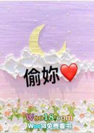 偷gai