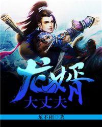龙婿大丈夫TXT全文