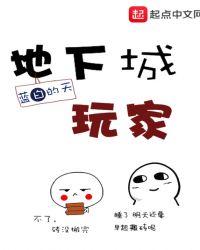 地下城玩家作者