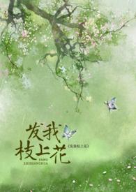 发我枝上花by漂浮折纸免费阅读最新章节列表