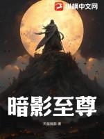 暗影至尊f2官网入口