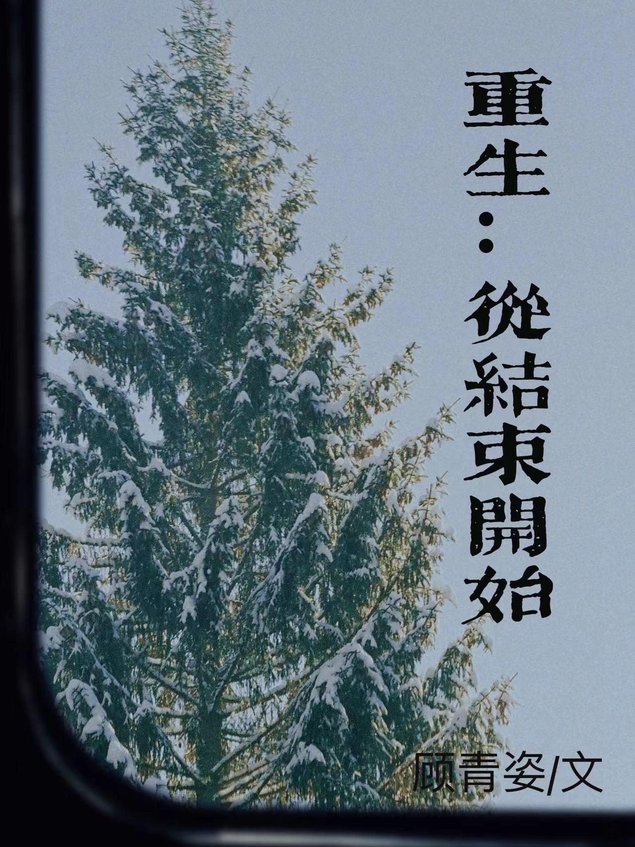 从结束开始 顾青姿 晋江