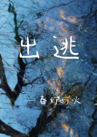 出逃国外的罪犯